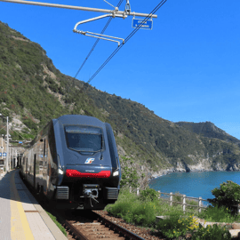 Turin: Bus & Zug Ticket von/nach Finalborgo