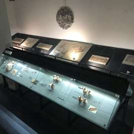 Savona: Guided visit to the Civic Archaeological Museum and the City of Savona