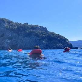 Savona: Barco para Bergeggi e MERGULHO COM SNORKEL na Área Marina Protegida